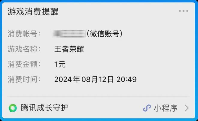 手机密码=支付密码？！9岁男孩玩游戏“氪金”不到一星期……(图9)